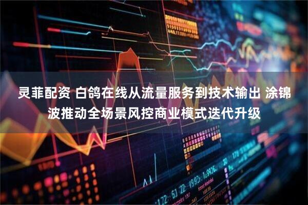 灵菲配资 白鸽在线从流量服务到技术输出 涂锦波推动全场景风控商业模式迭代升级